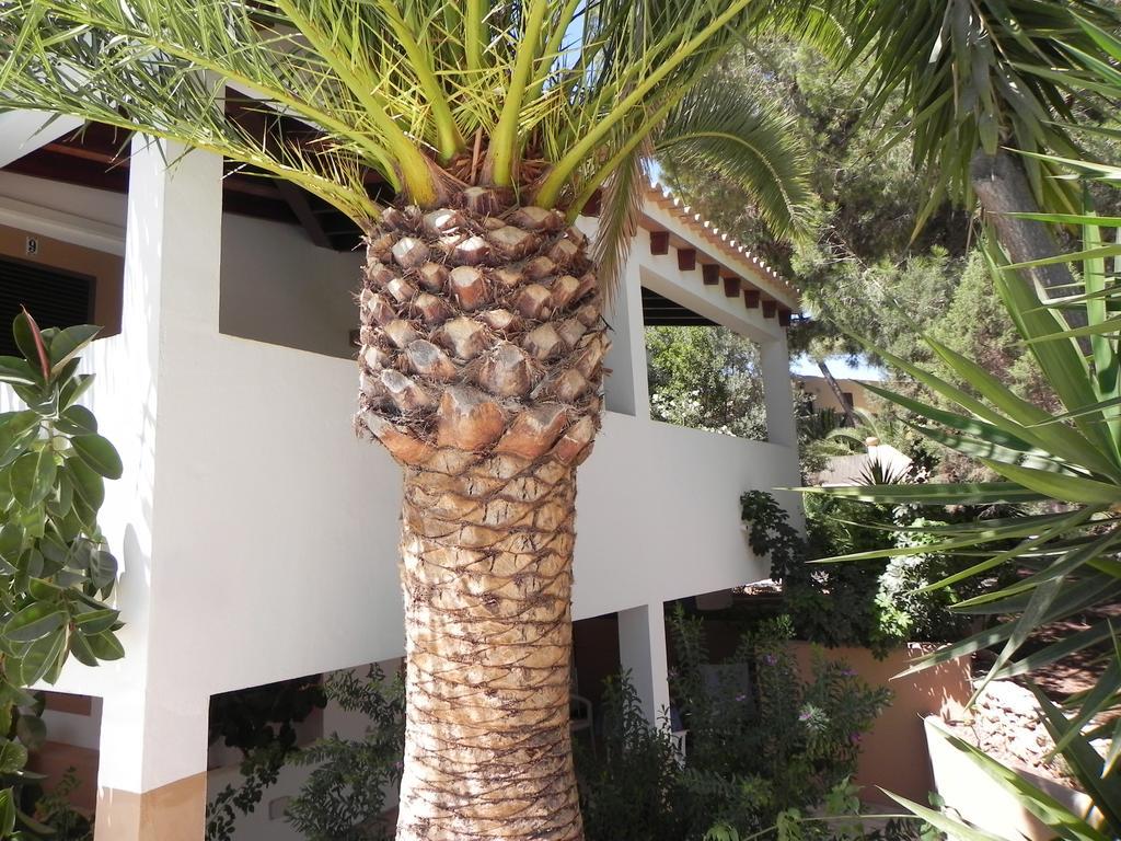 Viviendas Turisticas Vacacionales Allida Playa Migjorn Exterior foto